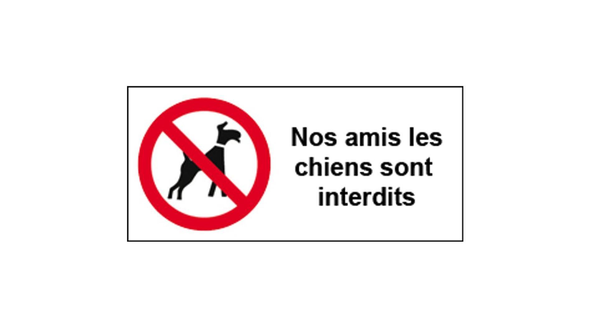 Studio Lumineux Et Plein De Charme 布鲁瓦 外观 照片